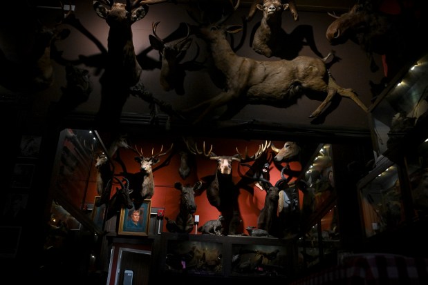 The dining room at the Buckhorn Exchange in Denver, on Wednesday, May 21, 2025. (Photo by AAron Ontiveroz/The Denver Post)