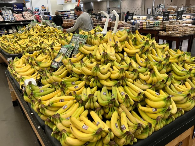 Imported bananas are for sale at a supermarket in Doral, Florida on Aug. 14, 2025. (Marta Lavandier/AP)